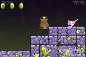 胖胖猫山洞大闯关